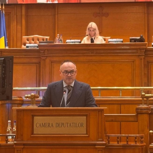 Titlu: Reformele guvernamentale și impactul asupra populației și mediului de afaceri