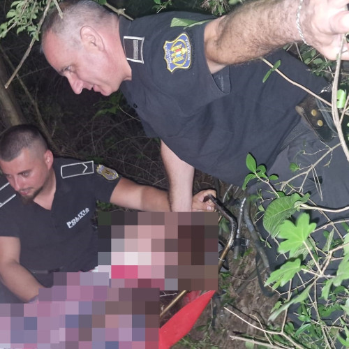 Un apel de ajutor, inițial considerat un caz de tulburare a ordinii publice, s-a dovedit a fi o situație de urgență reală