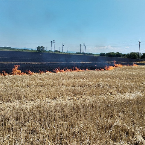 Incendiu de vegetație uscată în zona Botiz