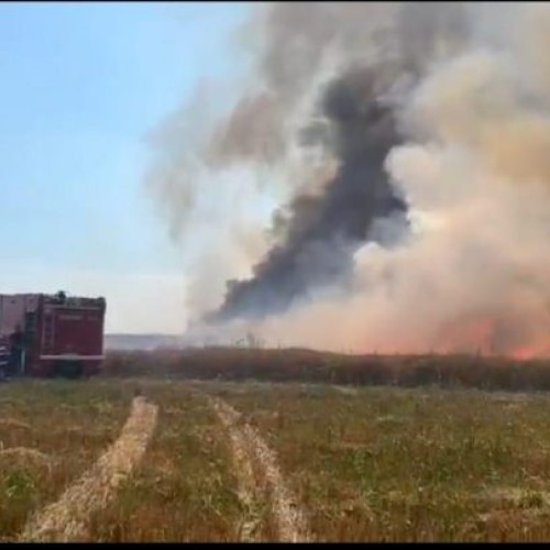 Incendiul de pe raza comunei Cogeasca, satul Inotești, distruge aproximativ 50 de hectare de culturi agricole