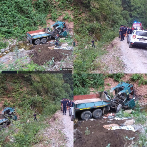 Accident grav într-o pădure din județul Gorj