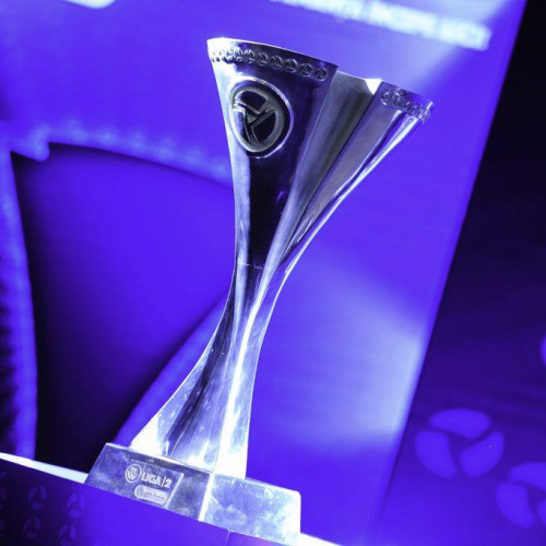 echipele care vor evolua in liga 2 în sezonul 2025/2026 anunțate de frf