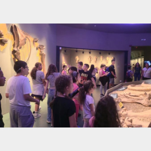 explorarea lumii animalelor la muzeul țării crișurilor în oradea