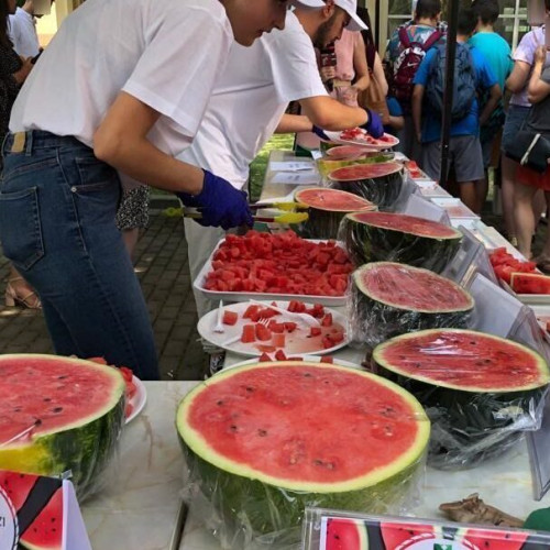 Eveniment de vară la universitatea din Iași: degustare de pepeni pentru iubitorii de fructe