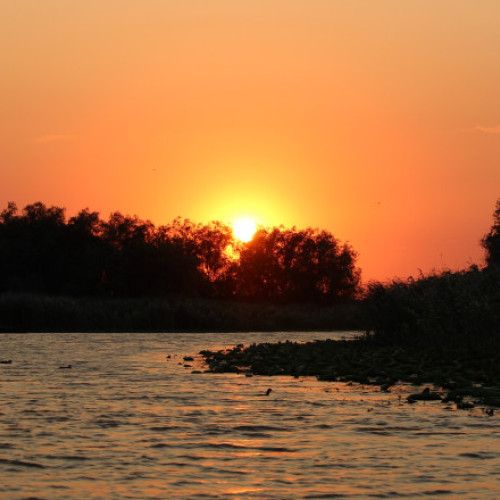doar un elicopter a survolat legal delta dunarii în acest an
