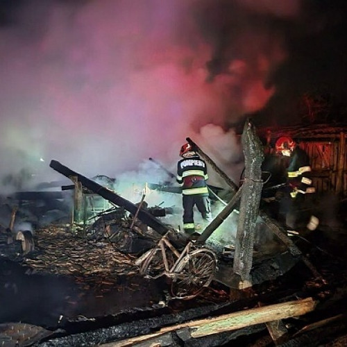 Incendiu la o anexă gospodărească în Viile Satu Mare