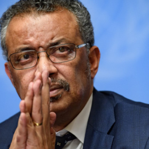 Organizația Mondială a Sănătății denunță atacuri asupra sediului și depozitului din Gaza