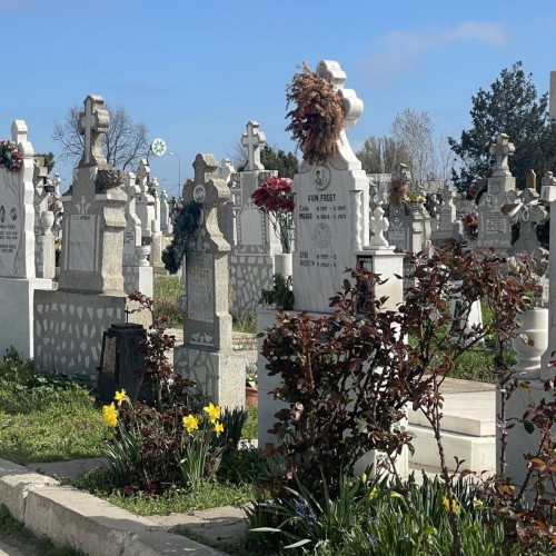 Autoritățile locale din Cumpăna solicită intervenție rapidă pentru curățarea cimitirului