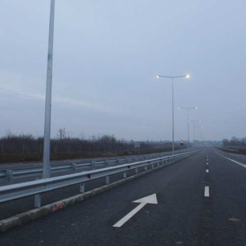 Accident pe autostrada A3 București-Ploiești după ce vaci au intrat pe șosea