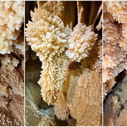 Pestera Piatra Altarului, o bijuterie a Parcului Natural Apuseni, se află în zona Padiș din Munții Bihorului și este considerată una dintre cele mai frumoase trei pesteri din Europa. Potrivit unor specialiști, aceasta se numără printre primele zece din lume datorită frumuseților sale și importanței științifice. Recent, o echipă de speologi a vizitat peștera pentru a monitoriza starea de conservare, conform informațiilor publicate de Adventure Center din Cluj, citate de alba24.ro.