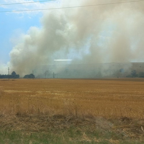 Incendiu de vegetație în Valea Dacilor, Medgidia: pompierii intervin cu mai multe autospeciale