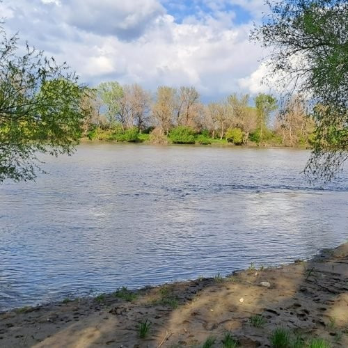 Proiect comun între Arad și Szeged pentru promovarea râului Mureș