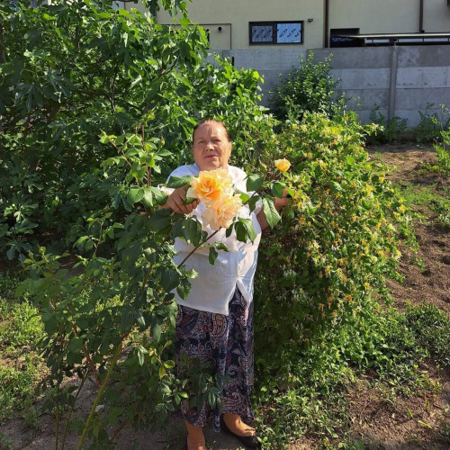 Femeie dispărută în Constanța, mesaj de pe Facebook cere ajutor