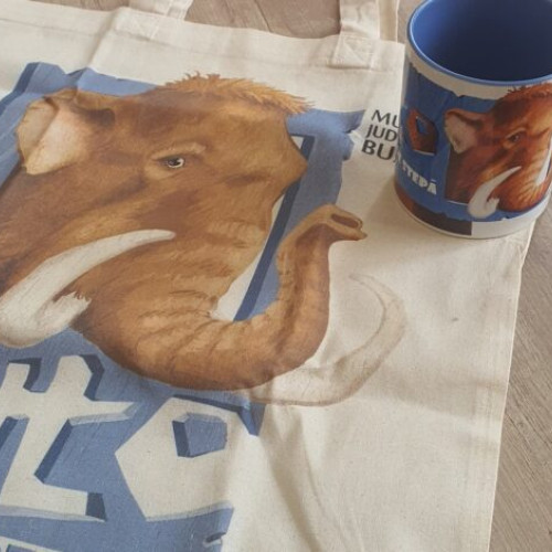 Veniturile muzeului județean din vânzarea suvenirurilor au acoperit cheltuielile de funcționare în primul semestru al anului