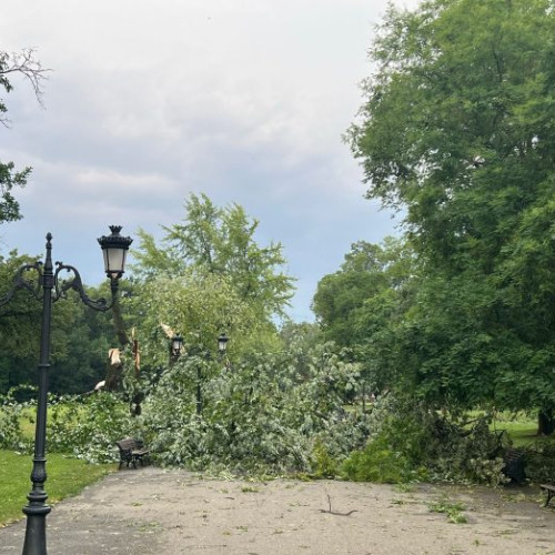 furtuna puternică provoacă pagube în ilfov și bucurești