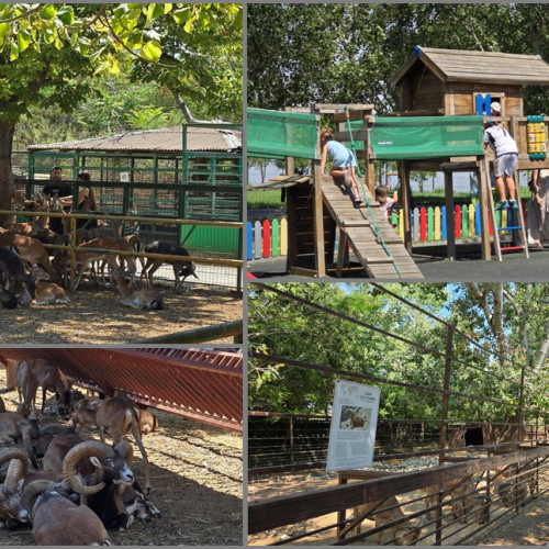 microrezervația din Constanța: un loc educațional pentru familii și iubitori de natură