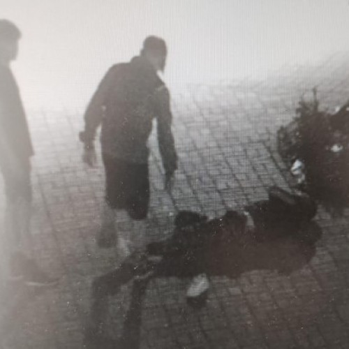 Trei adolescenți au agresat un om al străzii în parcul din fața Casei Tineretului din Botoșani