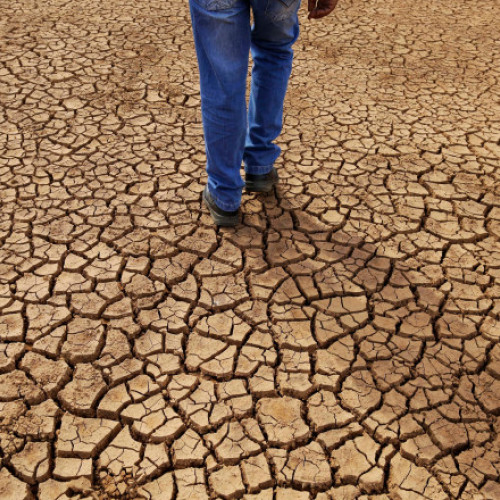 Curtea Internațională de Justiție aduce o decizie istorică în lupta contra schimbărilor climatice