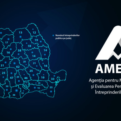 Detalii despre performanțele financiare ale întreprinderilor publice publicate de AMEPIP