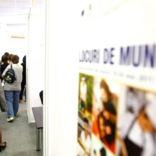 Număr record de români integrați pe piața muncii în prima jumătate a anului 2025
