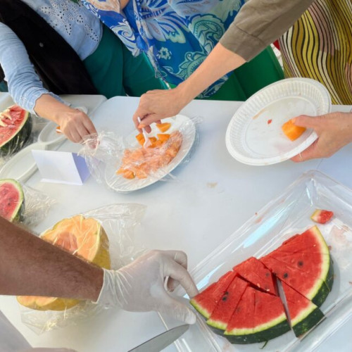 zeci de vizitatori se bucură de degustarea pepenilor organizată de universitatea de științele vieții din Iași