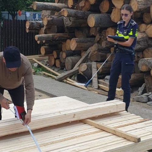 Acțiune a poliției și specialiștilor silvici împotriva ilegalităților cu lemn în Vrancea