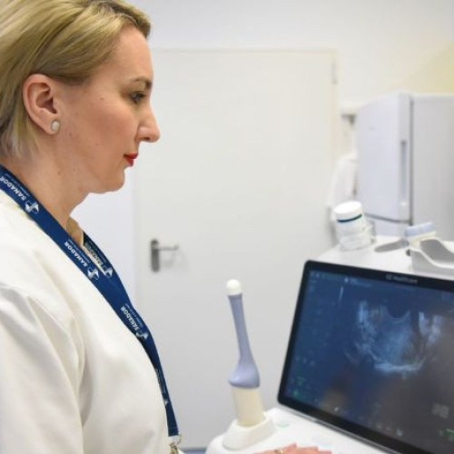 centrele specializate în reproducere umană asistată și opțiunile pentru cuplurile infertile