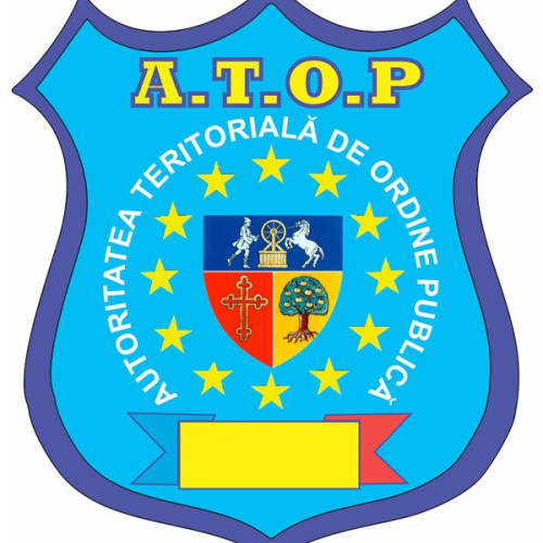 Guvernul elimină indemnizațiile pentru membrii autorităților teritoriale de ordine publică