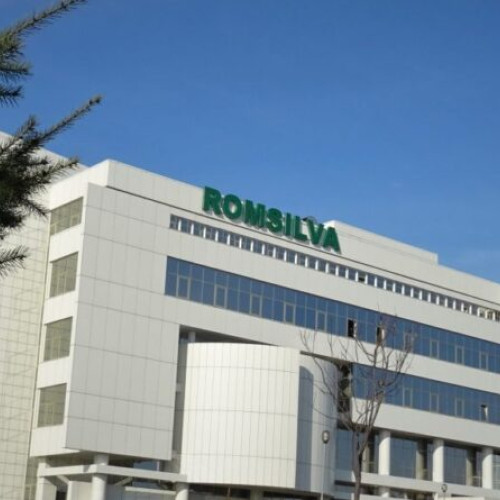 Reorganizarea Romsilva va reduce numărul de directii silvice și costurile bugetare