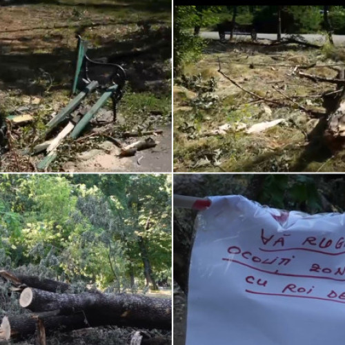 parcurile din bucurești, lovite de furtună: arbori doborâți și spații în paragină