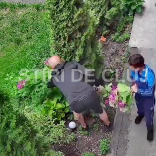 Furturi de flori în centrul orașului, surprinse de camere de supraveghere