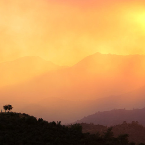 Incendii forestiere devastatoare în sudul Ciprului din cauza temperaturilor extreme