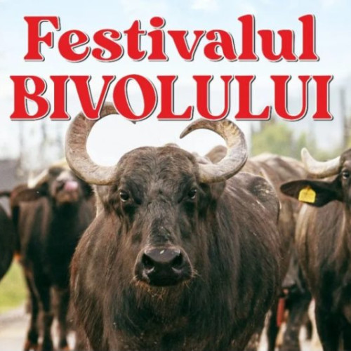 cea de-a doua ediție a festivalului bivolului "pa obreja" va avea loc pe 17 august în comuna Suciu de Jos