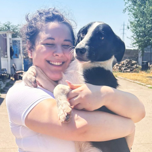 O familie pentru fiecare câine: Primăria Constanța încurajează adopția animalelor de la adăpost