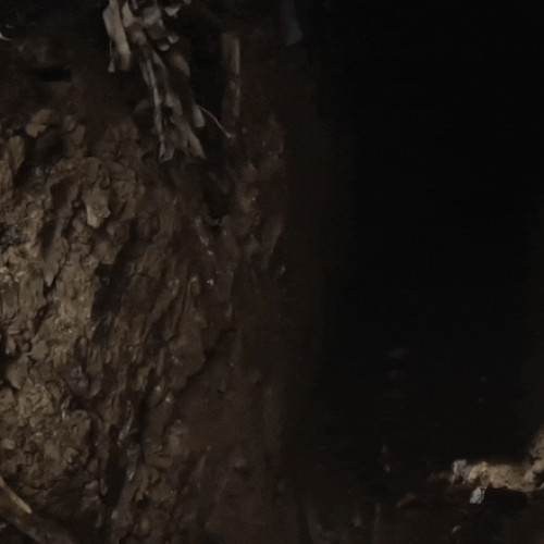 Acțiune a forțelor speciale ucrainene: prizonieri ridicați de pe frontul rus