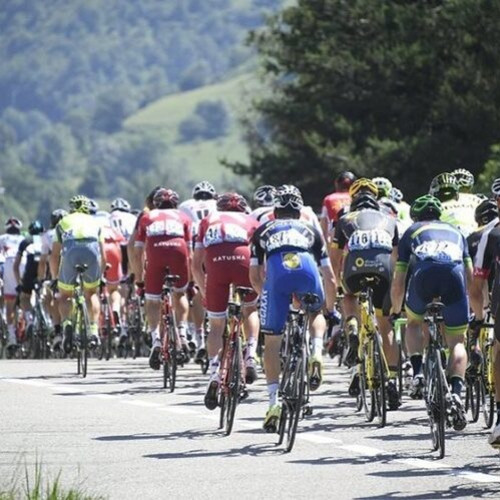 Etapa a 19-a a Turului Franței, redusă din cauza epidemiei de dermatită nodulară la bovine