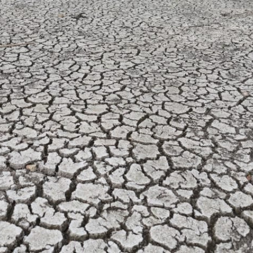 Râurile Teuz și Timiș, secate din cauza secetei prelungite