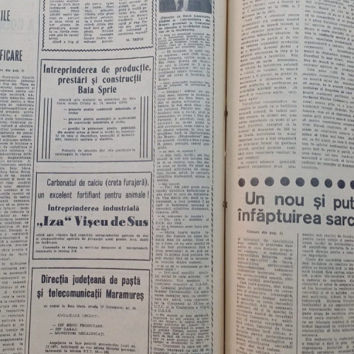 Dorel Chereches, student la Universitatea din Brașov și premiant la un concurs internațional, visază să se întoarcă în satul natal