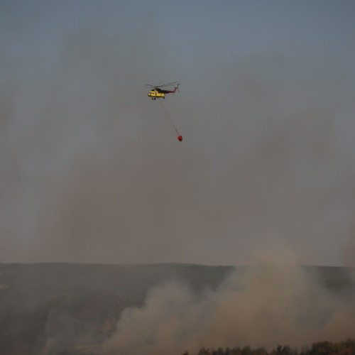 Incendii de vegetație amenință regiunea Antalya din Turcia