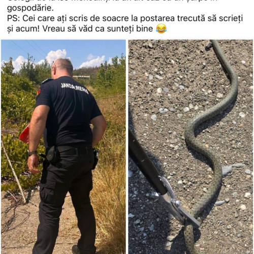un șarpe descoperit într-o gospodărie din mehedinți, jandarmii intervin pentru siguranta localnicilor