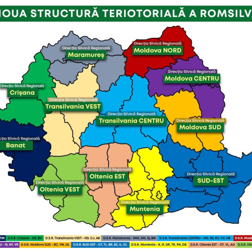 Se propune comasarea direcţiilor silvice din judeţele Botoşani şi Suceava pentru crearea unui nou sistem regional de gestionare a pădurilor