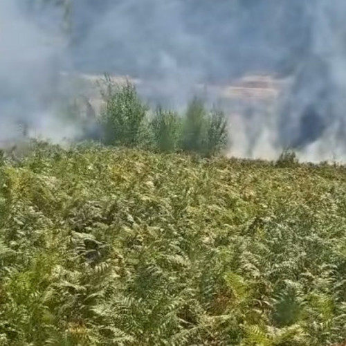 Incendiu de vegetație în comuna Runcu, Gorj