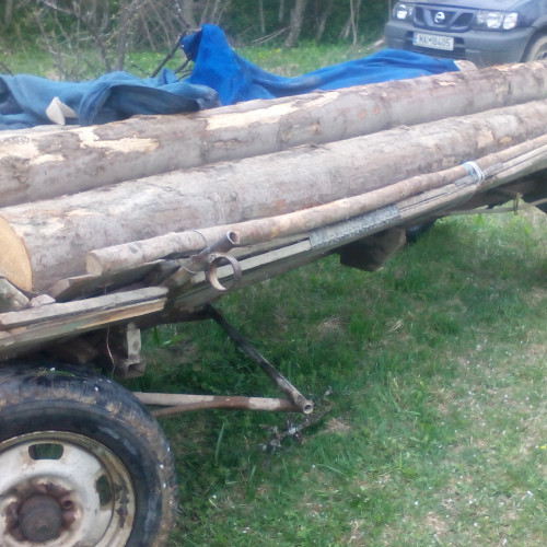 Bărbat din Botoșani condamnat pentru amenințări cu moartea peste mai multe incidente