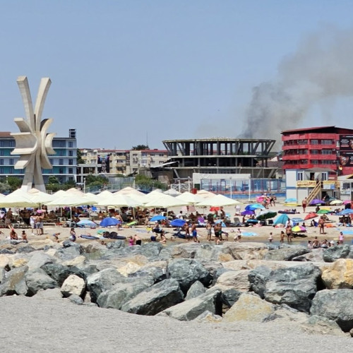 Incendiu de vegetație pe strada Unirii, intervenție în desfășurare