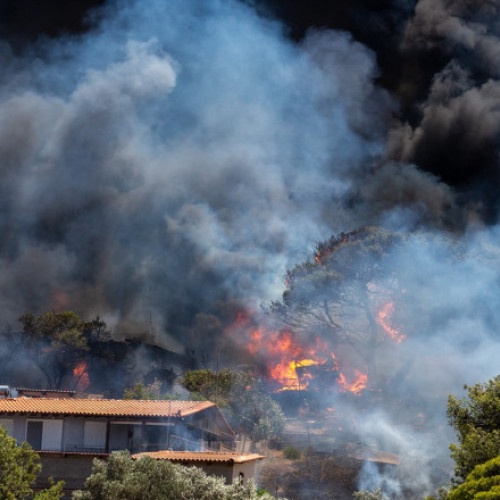 Incendii forestiere majore în Grecia și Albania din cauza temperaturilor ridicate