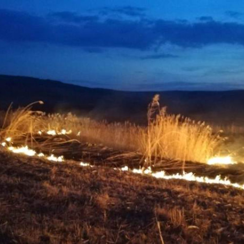 Incendiu de vegetație lângă autostrada A10 în Ciumbrud