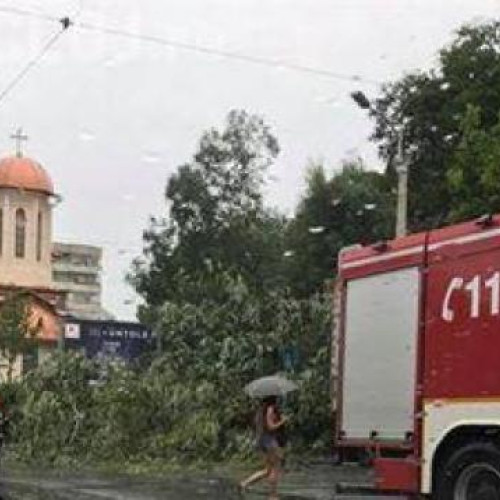 fire electrice căzute peste tramvai pe strada splaiul independenței din cluj-napoca