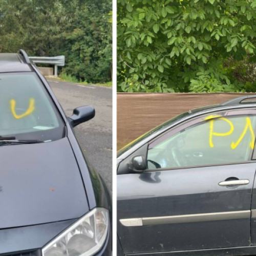 clujeanca, victima vandalizării cu spray galben