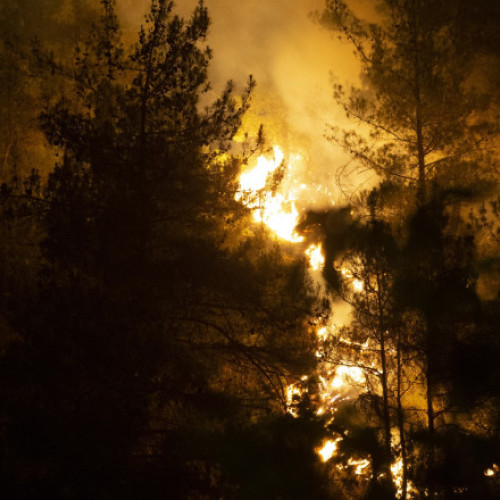 Incendii de vegetație și temperaturi record în Turcia din cauza valului de caniculă