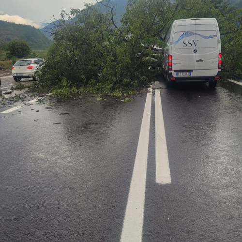 Avertizare de trafic pe DN 7, Balota